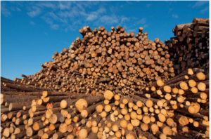 screenshot 2025 07 27 231148